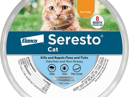 Bayer Cat Seretso Small 6-36 8 Month Collar (Case of 6) Supply