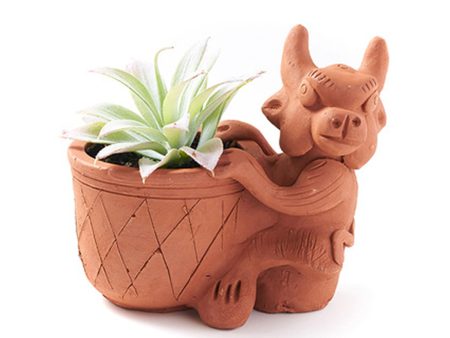 Cow Rakshana Plant Pal Pot Discount