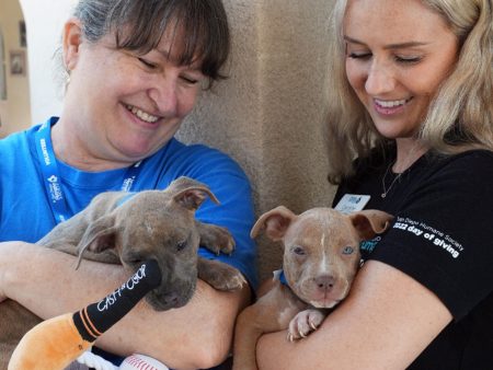 Animal Shelter Support Packs Discount