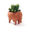 Elephant Rakshana Plant Pal Pot For Sale