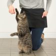 Training Packs To Help Cats & Kittens Get Adopted Online Sale