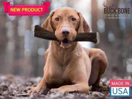 Buck Bone® Naturally Shed Elk Antler Dog Chew For Cheap