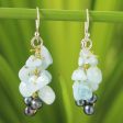 Afternoon Sigh Aquamarine Beaded Earrings Supply