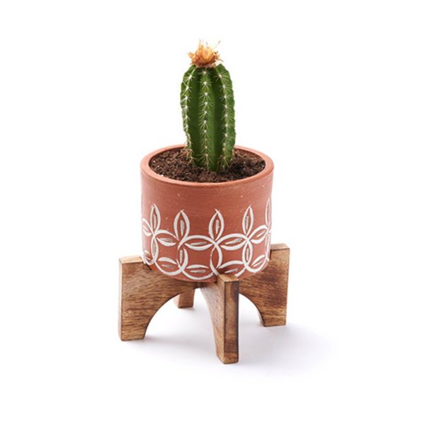 Small Terra Mango Planter with Stand For Sale