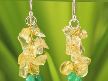 Afternoon Sun Multi-Gem Silver Cluster Earrings Cheap