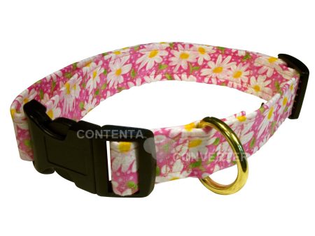 Daisies on Pink Dog Collar For Discount