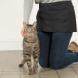 Training Packs To Help Cats & Kittens Get Adopted Online Sale