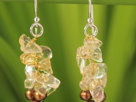 Afternoon Light Citrine Beaded Earrings on Sale