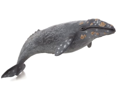 Mojo Fun Gray Whale For Sale