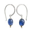 Accents Kyanite Dangle Earrings Online Sale