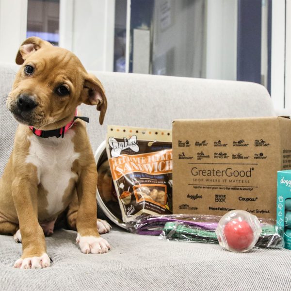 Care Kits for Pet Fosters Cheap